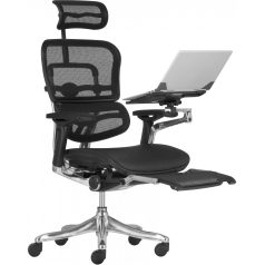 Ergohuman plus